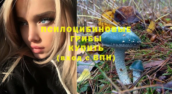 mix Алексеевка