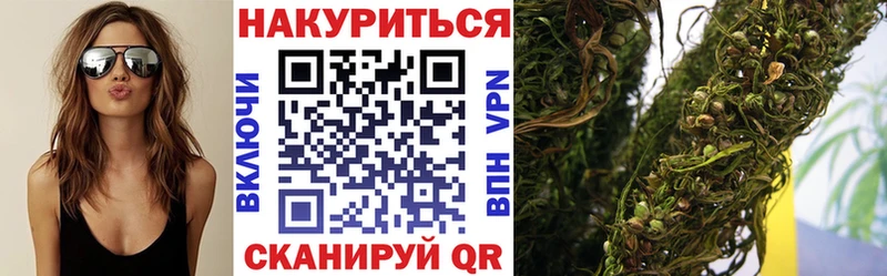 kraken ТОР  Александровское  Канабис OG Kush  что такое  